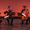 20160527 Festival Musicaeduca 2016 - Agrupaciones de la Escuela de Música